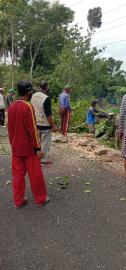 KERJA BAKTI PENEBANGAN POHON PENGGANGGU JARINGAN LISTRIK